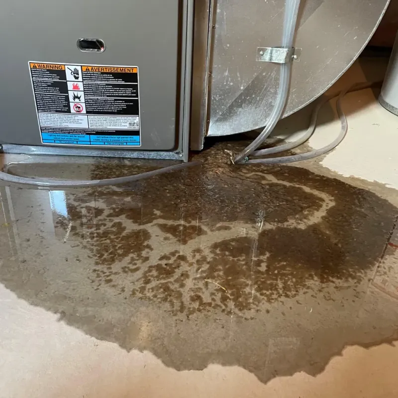 Appliance Leak Cleanup in Brown County, IN